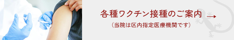 各種ワクチン接種のご案内(当院は区内指定医療機関です)